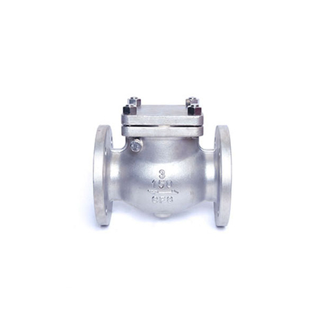 ANSI/ASME Swing Check Valve