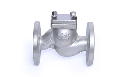 What is a Check Valve