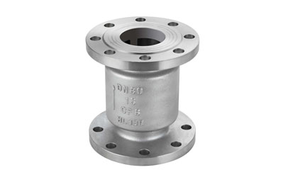 Vertical lift check valve